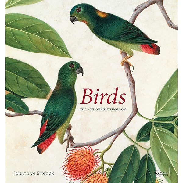 Birds: The Art of Ornithology: Elphick, Jonathan: 9780847861088