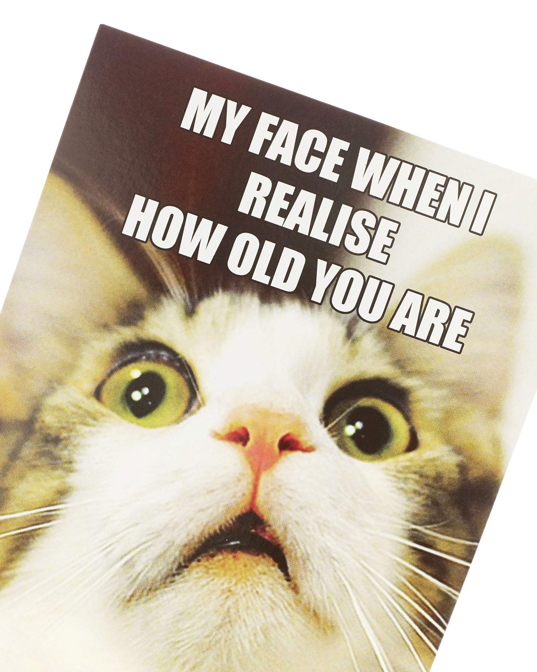 View 5