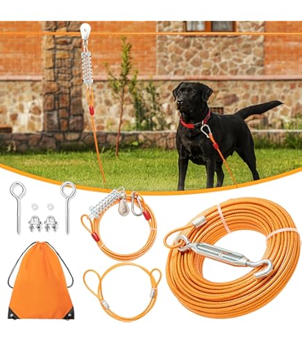 Dog Run Dog Line Leash Dog Harness Bungee Dog Running Lead DogFit