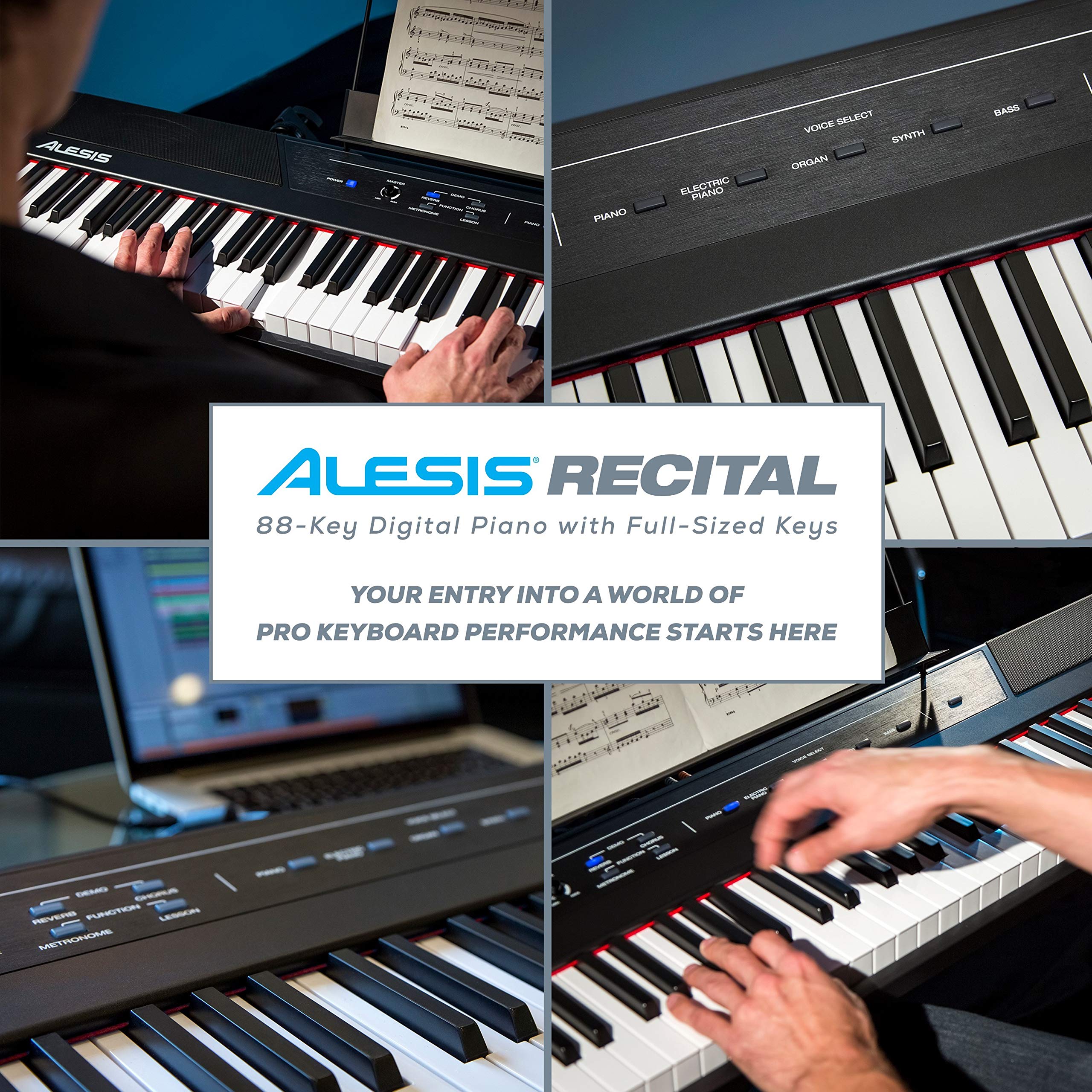 Alesis Recital 88 Key Beginner Digital Piano / Keyboard with Full