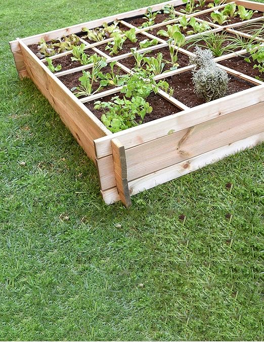 Faura 16 departamentos - Huerto Urbano de Madera - Suelo: Amazon ...