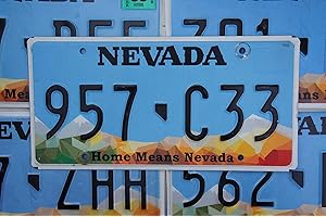 GENERIC Authentic License Plate - All 50 States + Territories License Plate Tags in Good Condition, Great for Decoration, Art Projects, Garages, Unique Gifts, Man Caves. (Nevada)