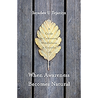 When Awareness Becomes Natural: A Guide to Cultivating Mindfulness in Everyday Life