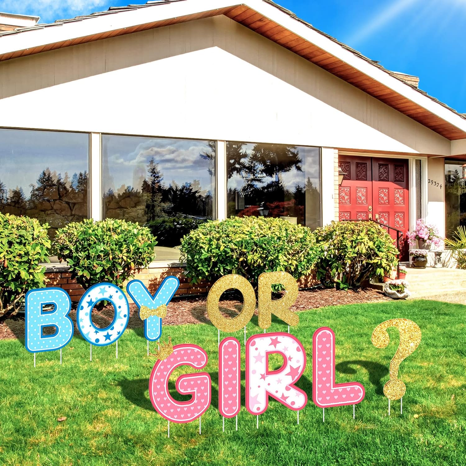 Yard Signs - Chinco 10 Pieces Gender Reveal Party Decorations Party Supplies Baby Shower Yard Signs Outdoor Yard Letters Lawn Signs with Stakes for Indoor Outdoor Garden Lawn Party Decorations (Boy or Girl)