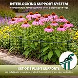 Garden Mile 8Pcs Heavy Duty Large Circular Plant Support Frame Adjustable Rings view 8