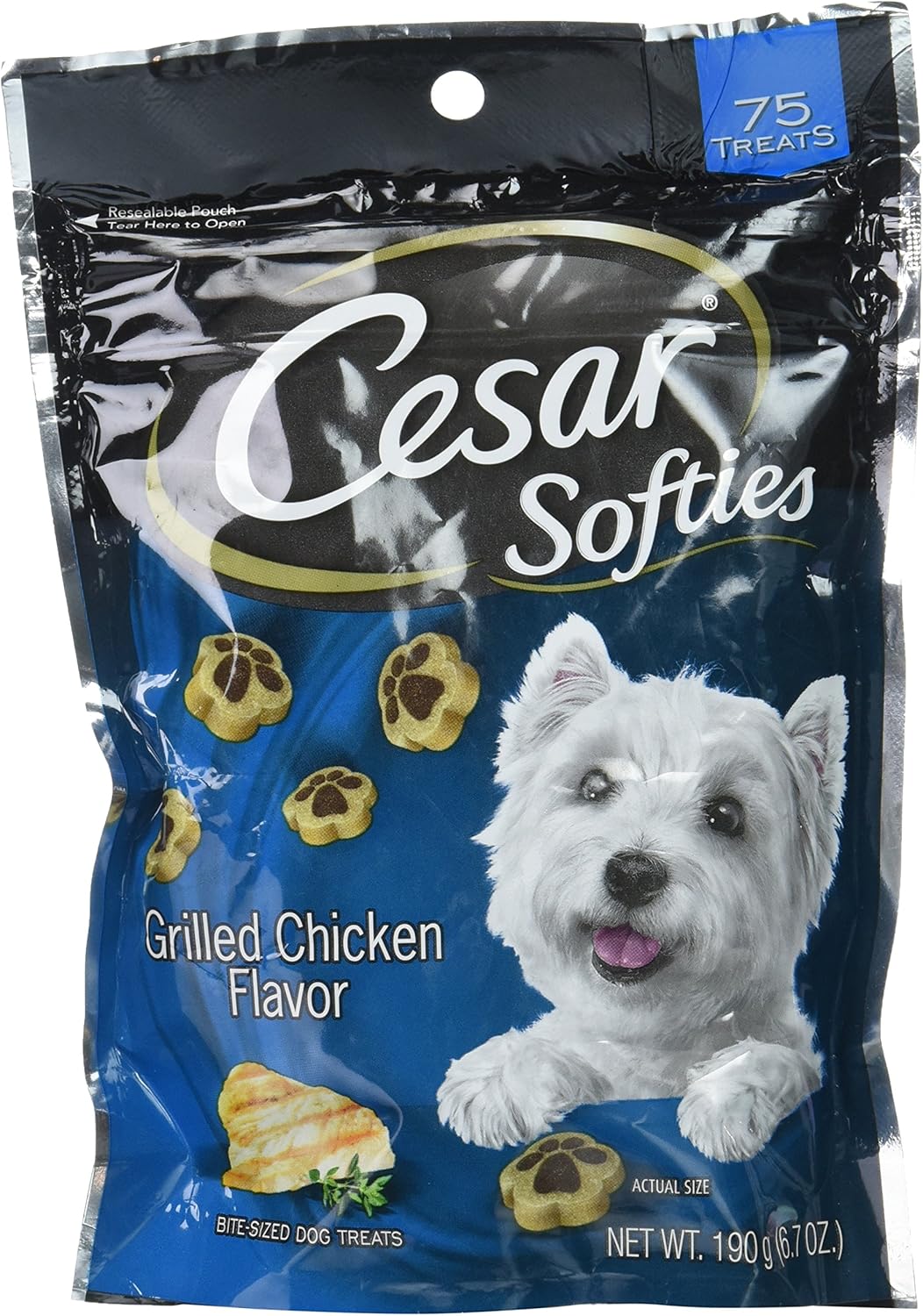 how to care for a puppy with parvo