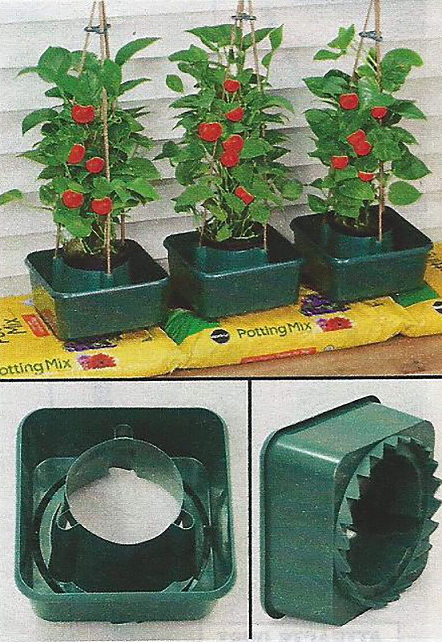 10" Tomato Grow Pots - Set of 3