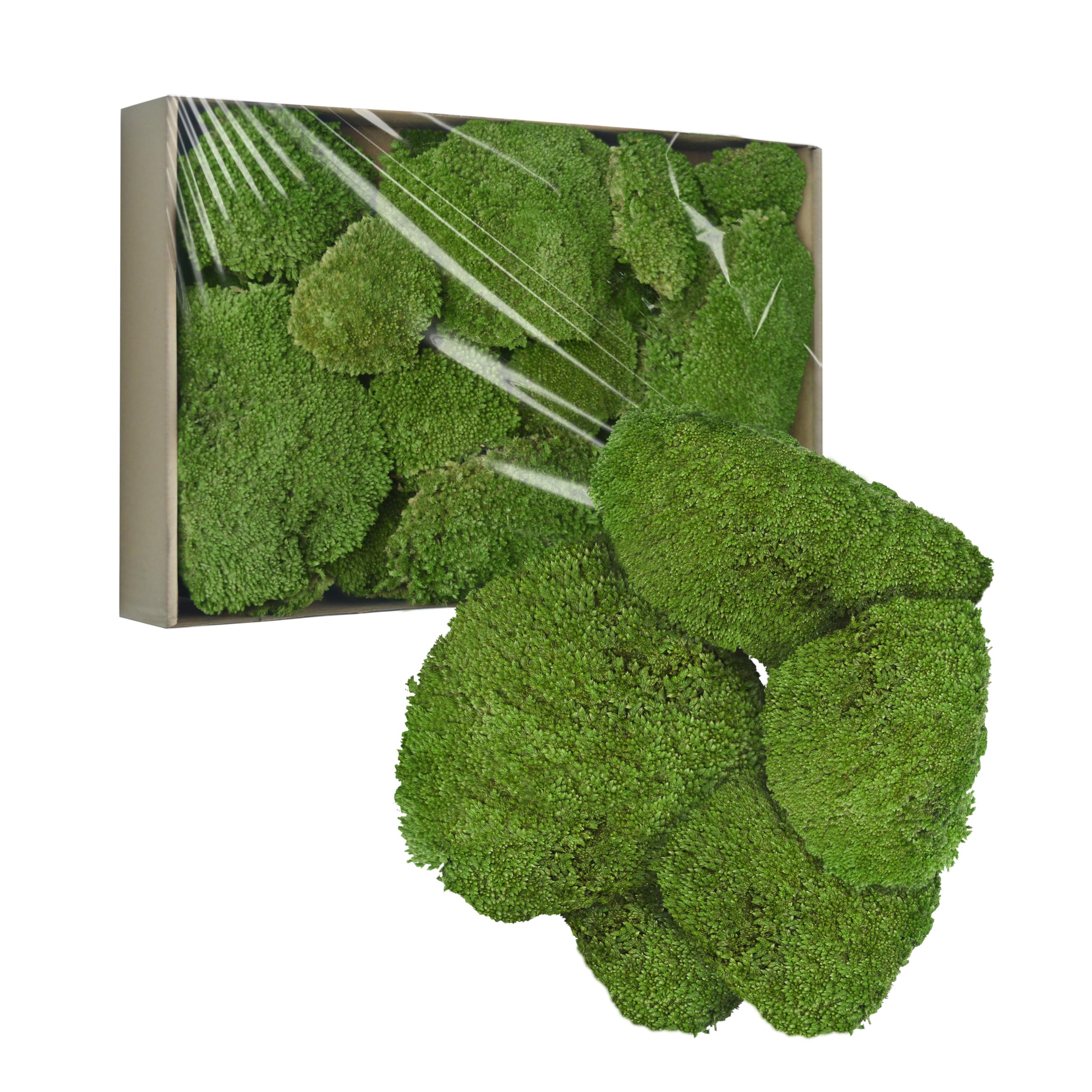 Photo 1 of TurelinnG Preserved Moss Decor - Real Forest Moss, Moss for Crafts, Flexible for DIY Crafts, Home, Wall, Terrarium, Art Projects(Natural Green 2 sq.ft)