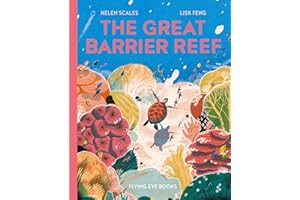 The Great Barrier Reef