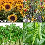 Healthy Family Save The Bees Kids Gardening Set Seed Kit for Children view 5