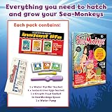 Sea Monkeys Original Instant Life Retro Pack with Eggs, Food & Purifier view 2