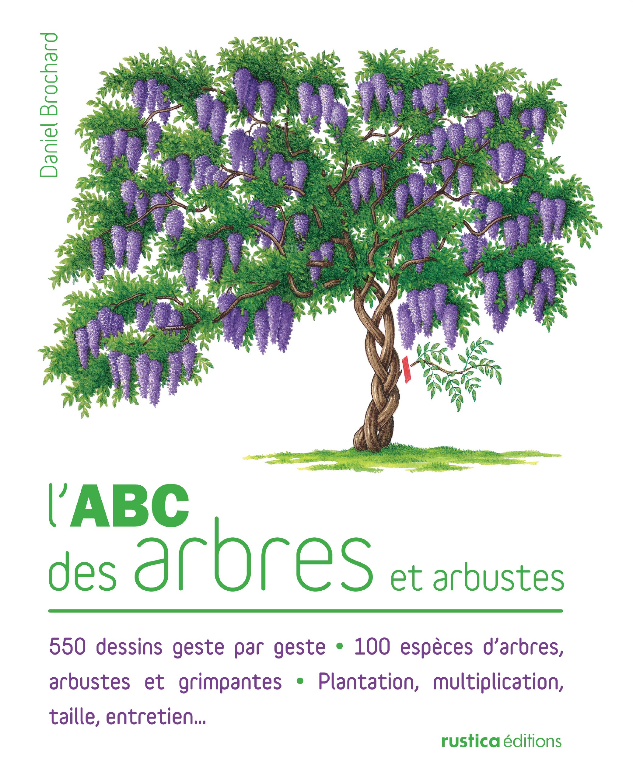 Labc Des Arbres Et Arbustes Daniel Brochard 9782815300780