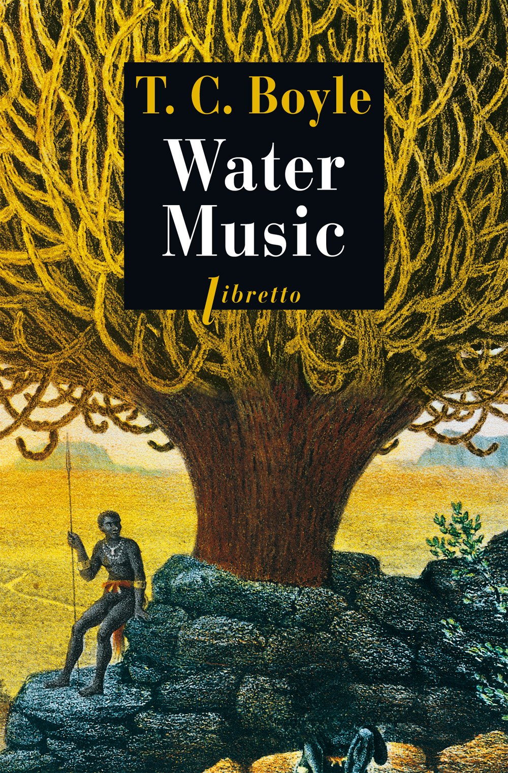 Water Music Litt Etrangere Boyle T Coraghessan 9782859405311 Amazon Com Books
