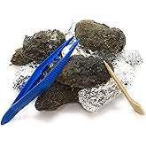Pellets Barn Owl Pellets, Large (Pack of 10) with 10 Forceps and Probes - Bone Chart Included!