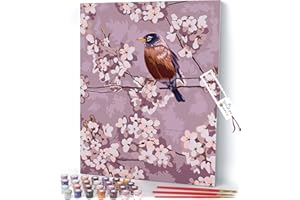 Opalberry Paint by Numbers for Adults - Number Painting Kit with Framed Canvas - DIY Painting by Numbers - 16x20 Acrylic DIY Painting: Terry Isaac's Ambassador of Spring