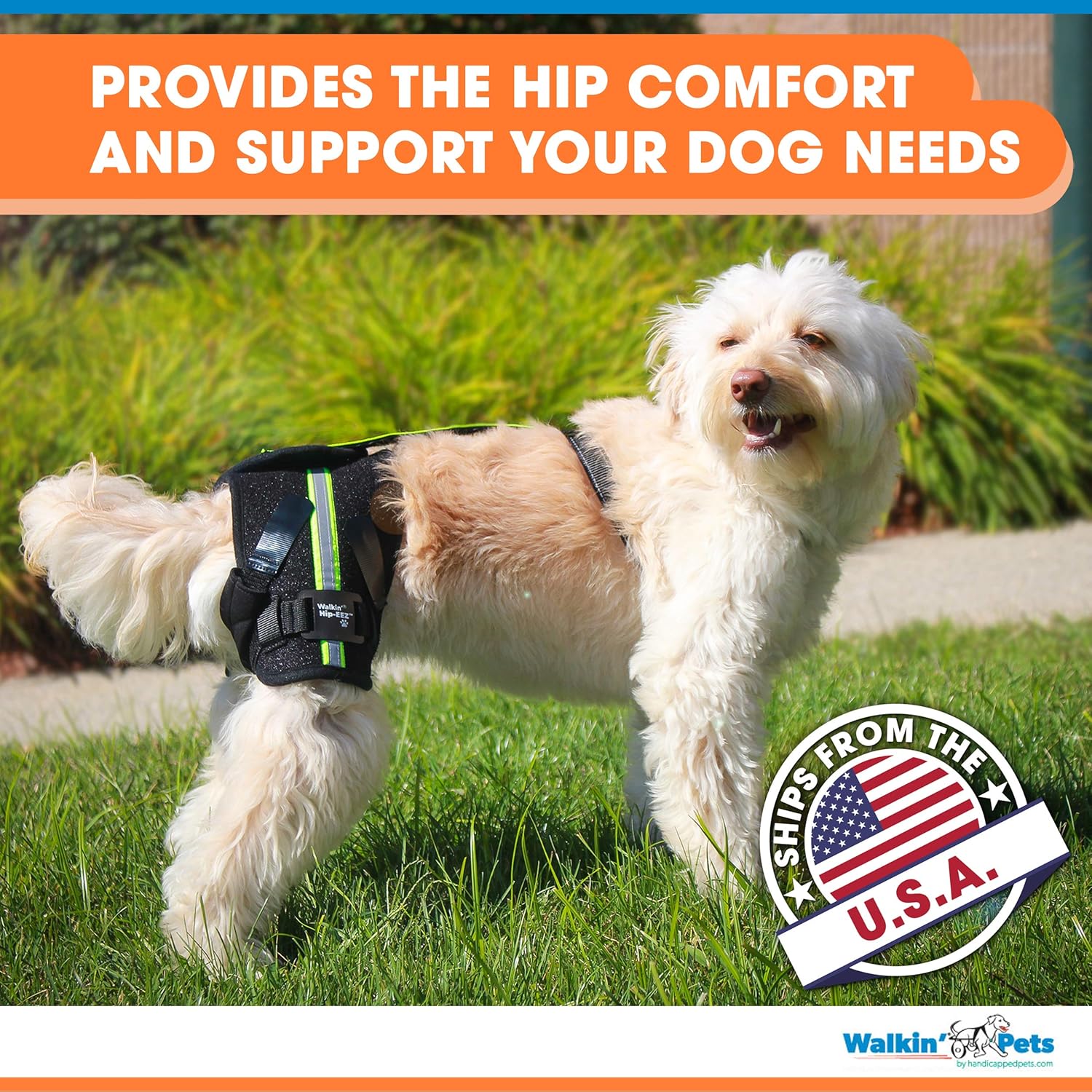 hip hound brace amazon