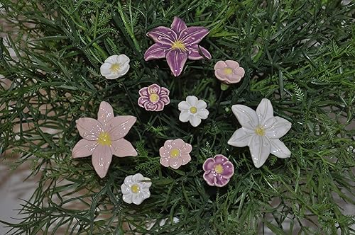 10 Keramikblumen: Gemischt/bunt