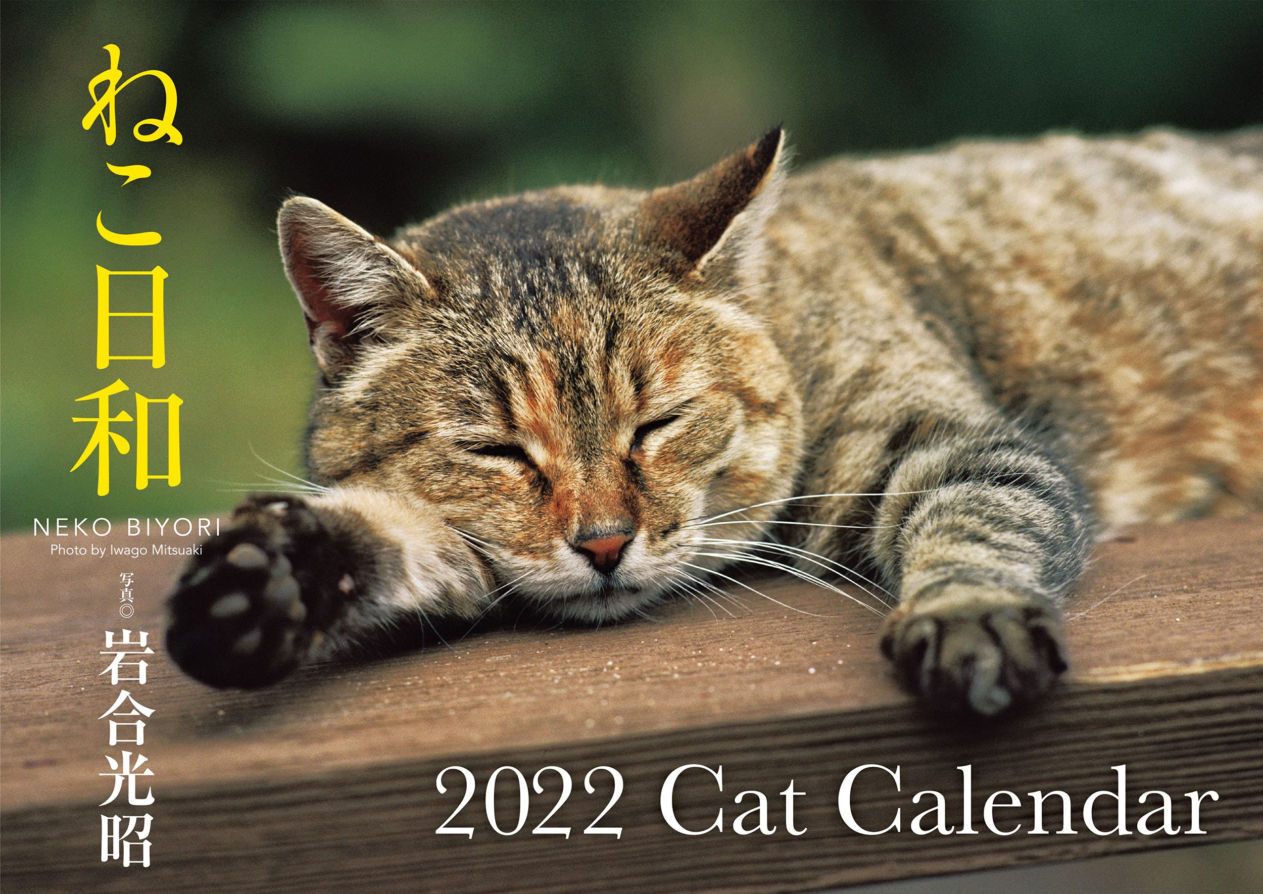 Amazon Co Jp ねこ日和 22 Cat Calendar S13 カレンダー 岩合 光昭 文房具 オフィス用品