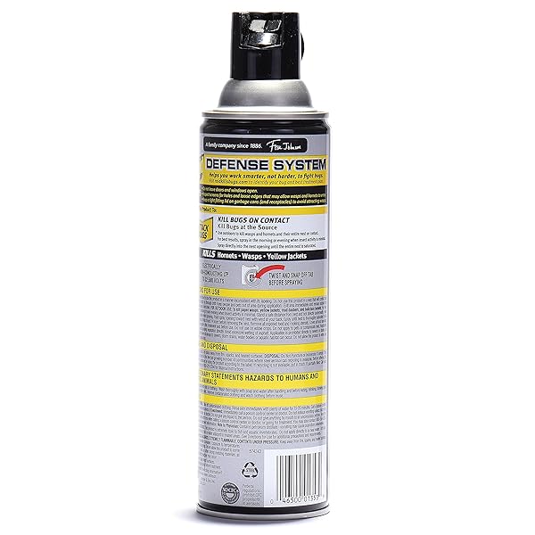 RAID WASP HORNET KILLER SPRAY (14 OUNCE (PACK OF 1))