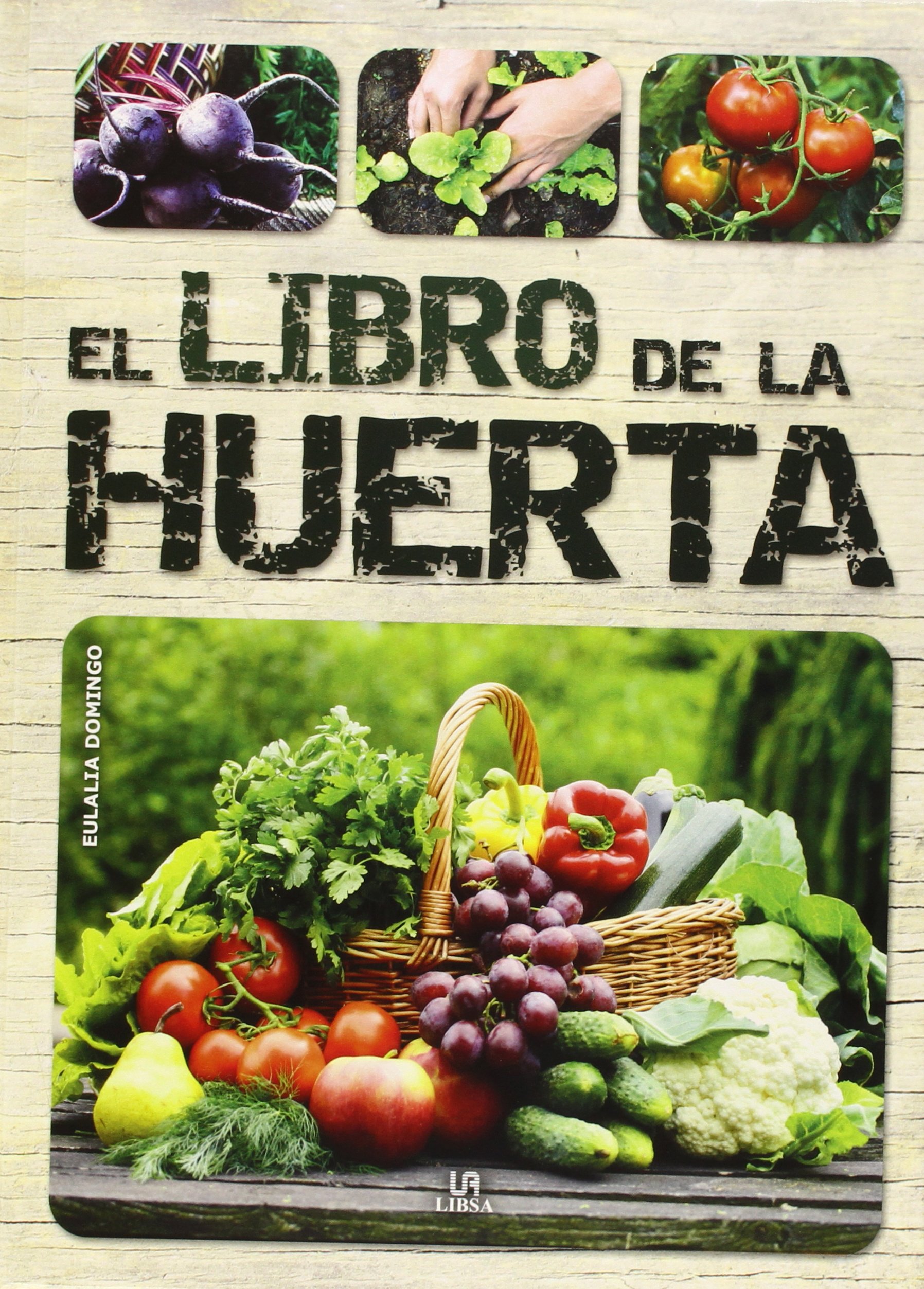 Libro De La Huerta,El (Cuidados de Jardineria): Amazon.es: Equipo ...