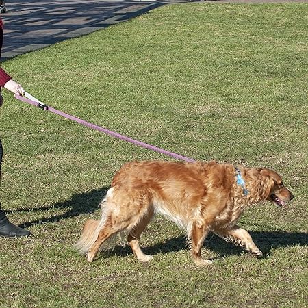 tatty teddy slippers new look