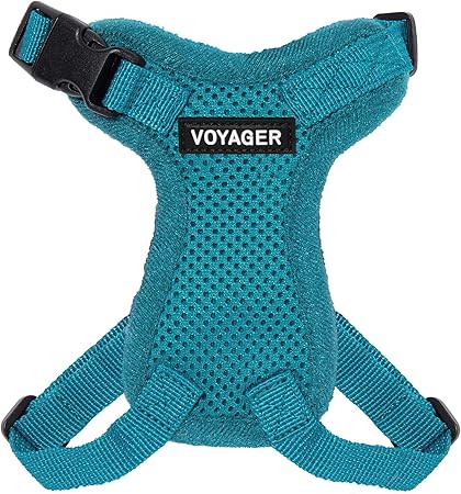 voyager dog harness amazon