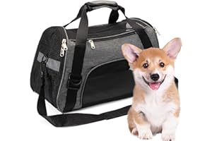 2 BROTHERS WHOLESALE Collapsible Cat Carrier Soft - Secure & Comfortable Small Dog Carriers - Portable Small Pet Carrier for Cat - Lightweight Small Rabbit Carriers for Travel (Medium, Grey)