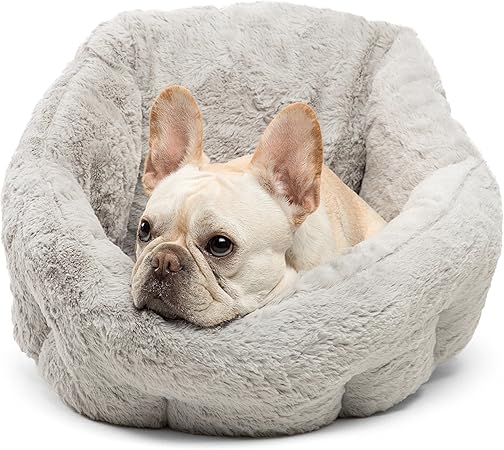 frenchie dog bed