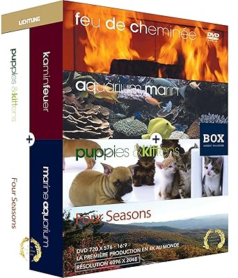 cheminee 4 saisons