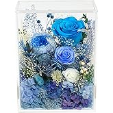 Valley of Rain & Forest Long-Lasting Real Flowers, Handcrafted Preserved Rose Bush For you to Send Love for All Occasions, Floral Arrangement for Indoor Decoration (Blue Rose)