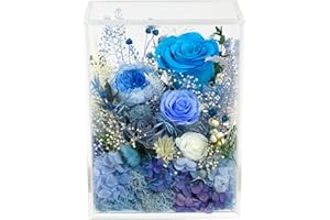 Valley of Rain & Forest Long-Lasting Real Flowers, Handcrafted Preserved Rose Bush For you to Send Love for All Occasions, Floral Arrangement for Indoor Decoration (Blue Rose)