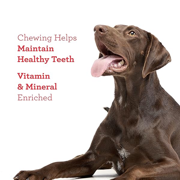 DREAMBONE TWIST STICKS, WRAPPED WITH REAL CHICKEN, RAWHIDE-FREE CHEWS FOR DOGS, 50 COUNT