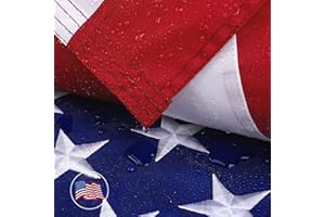 DANF FLAG American Flag 3x5 ft for Outside, Longest Lasting, Heavy Duty, Embroidered Stars, Sewn Stripes, Brass Grommets, Fade Resistant US Outdoor Flags