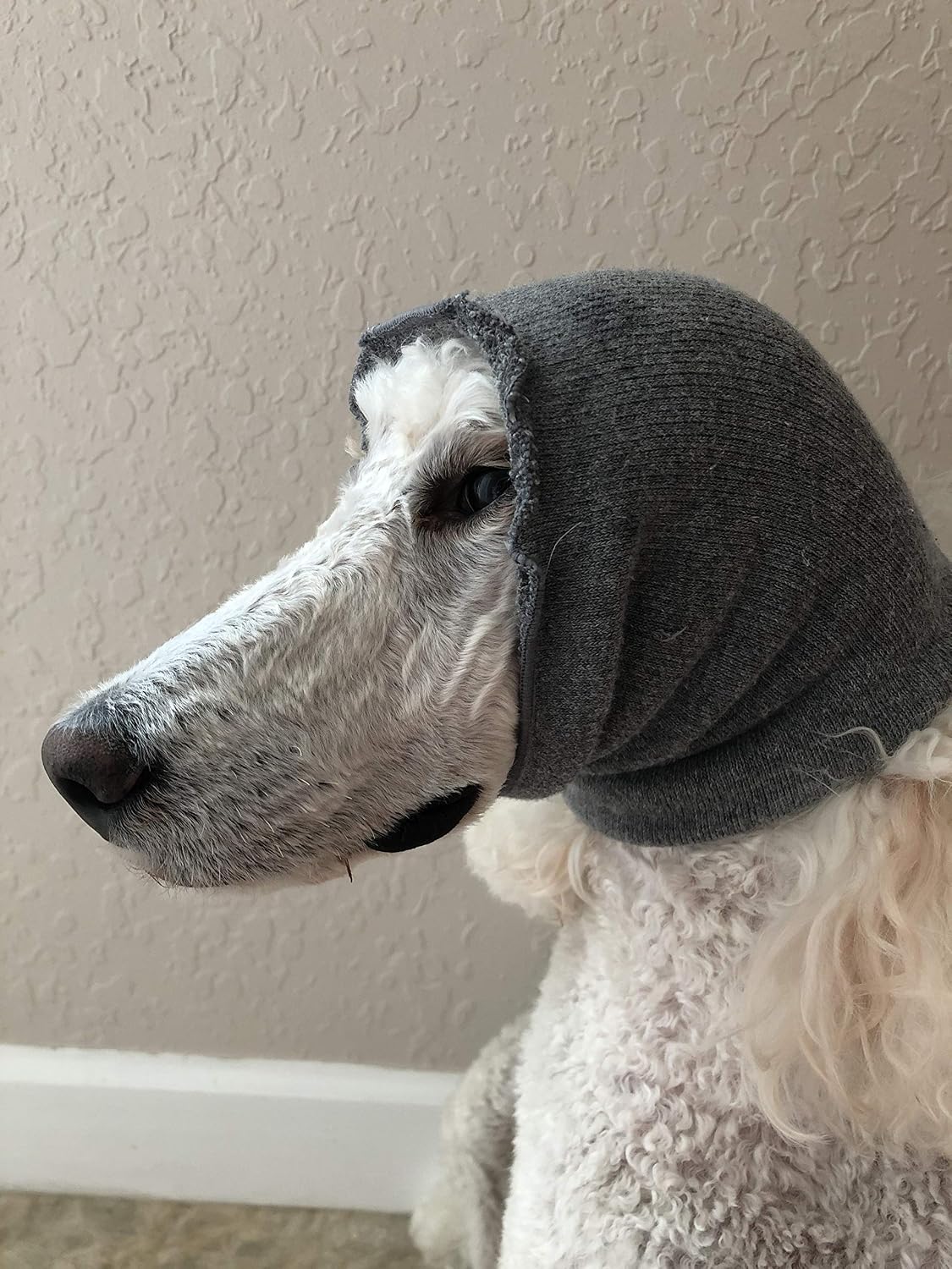 Pet Hoodz for Dogs-Anxiety Relief & Calming Hoodie, Grooming Ear Muffs, Compression & Protection, Large, Grey - Image 4