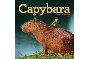 Capybara Wall Calendar 2026