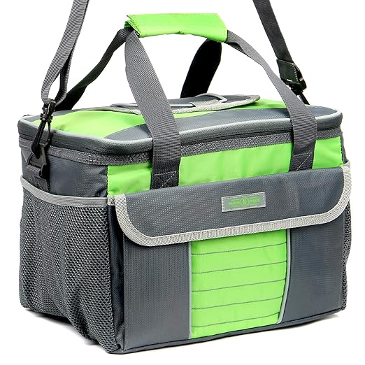 La bolsa de asas aislada de la comida campestre | Portador de ...