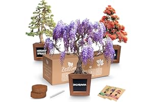 ZESTIGREENS Bonsai Starter Kit - Gardening Gift for Women & Men - Bonsai Tree Growing Garden Crafts Hobby Kits for Adults, Unique DIY Hobbies for Plant Lovers