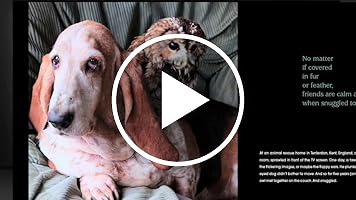 A video posted by the author.