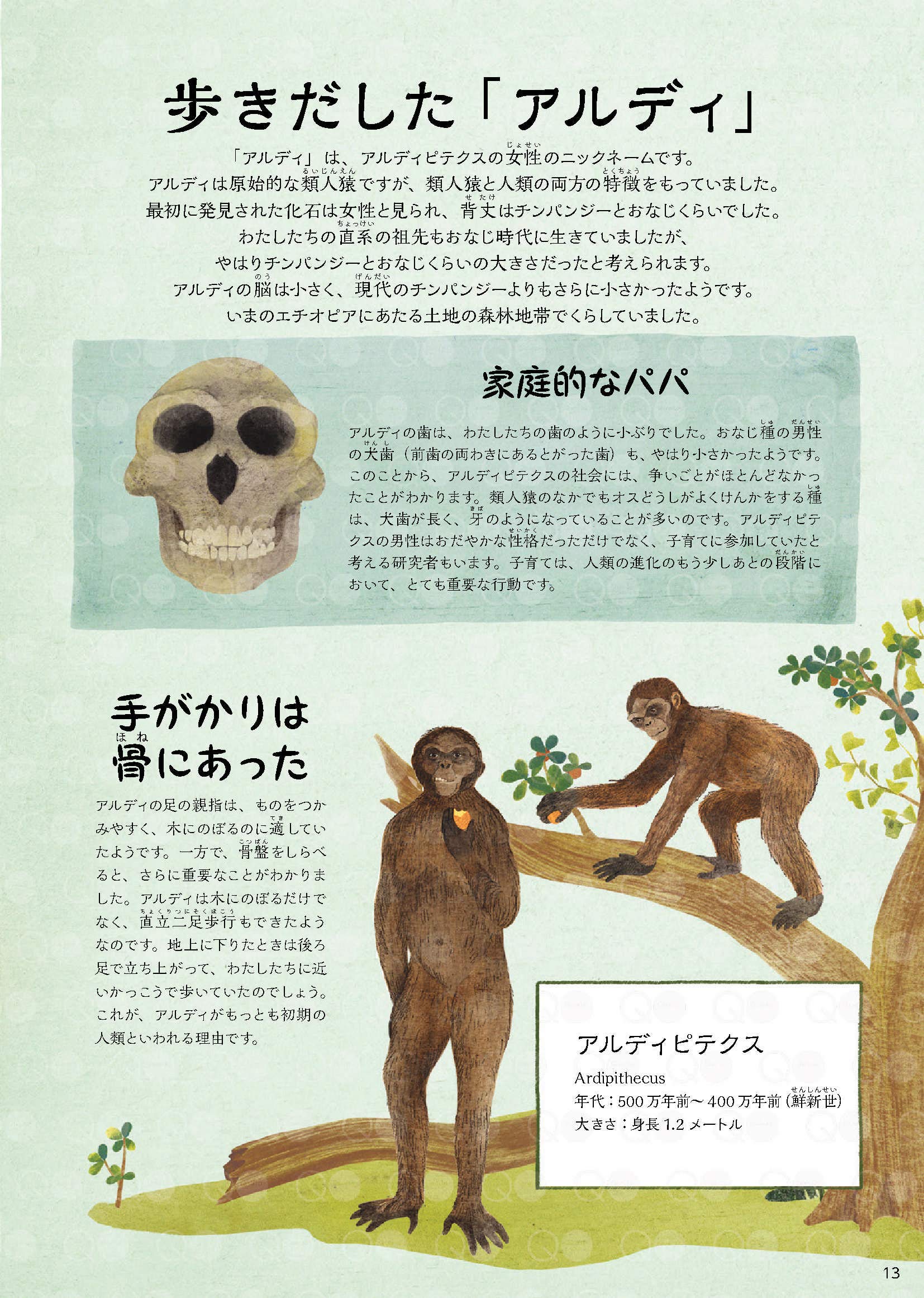 こうしてヒトになった 人類のおどろくべき進化の旅 マイケル ブライト ハンナ ベイリー 堀江 里美 本 通販 Amazon