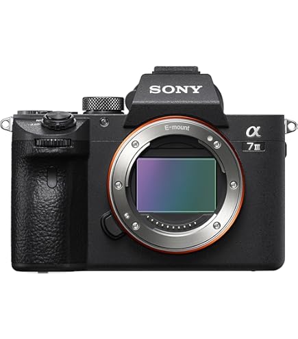 Amazon.com : Sony - FE 24-105mm F4 G OSS Standard Zoom Lens