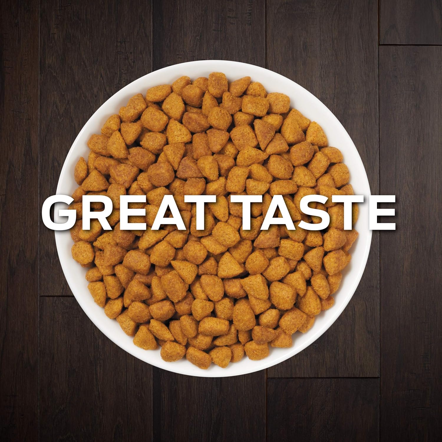 purina urinary so cat food