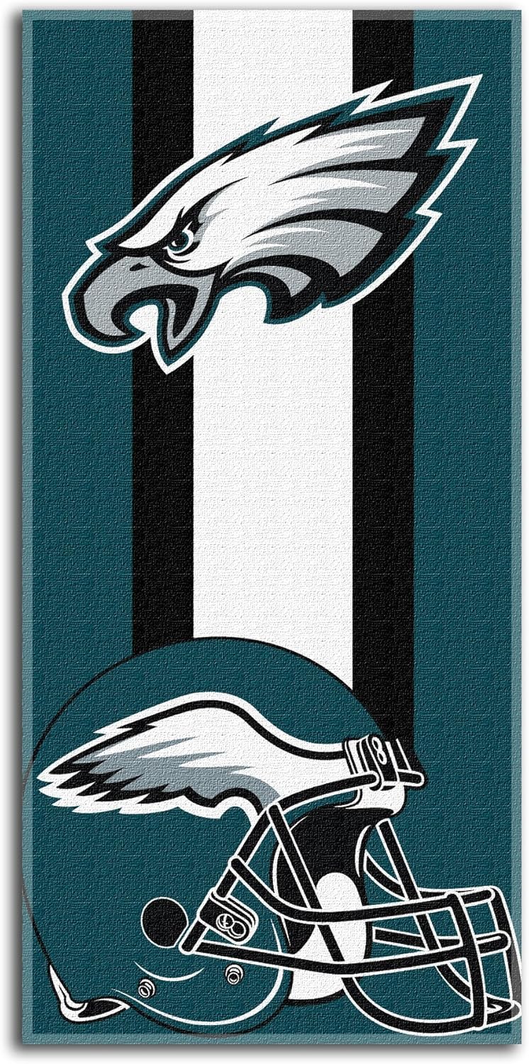Best Philadelphia Eagles Pool Table Cover