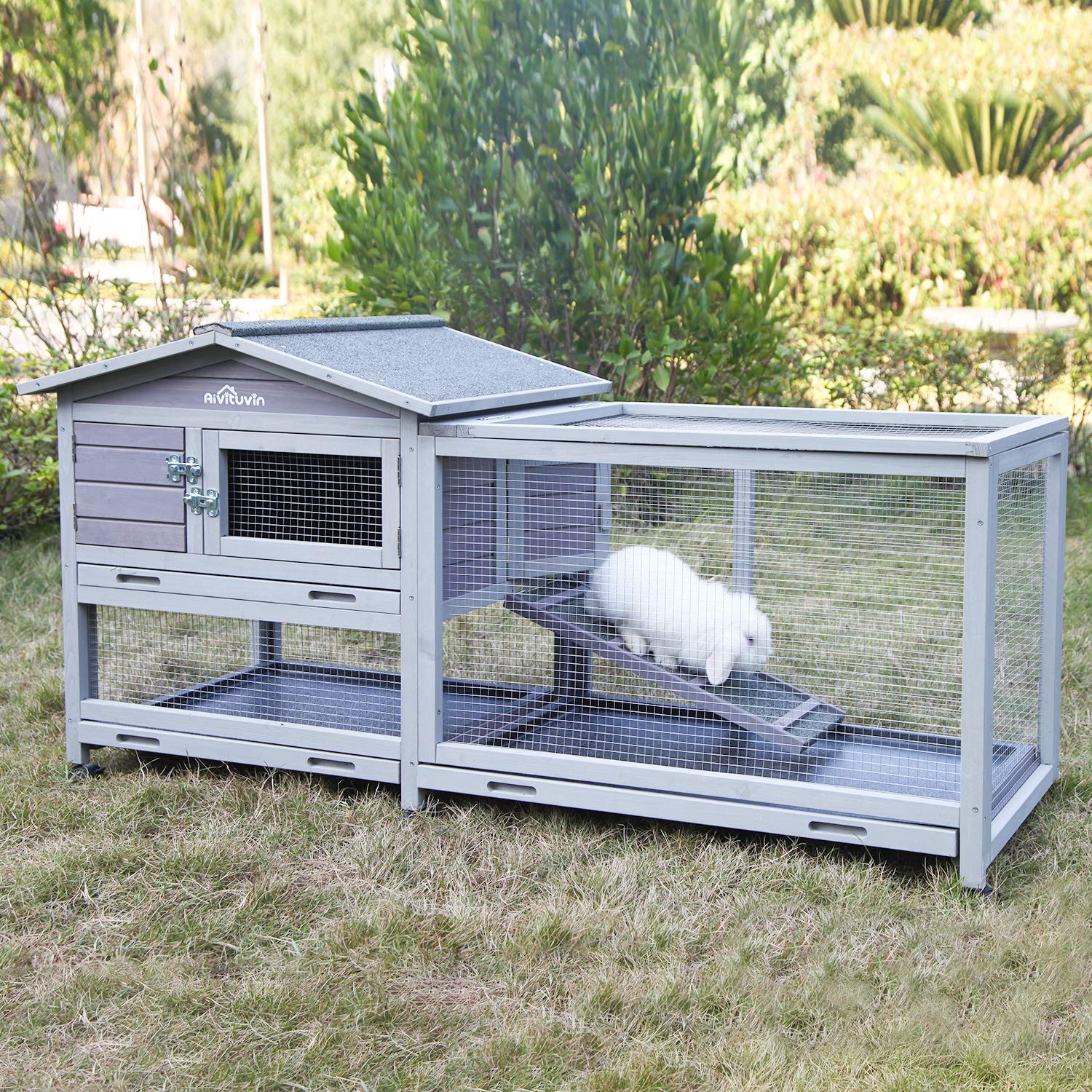 The Best Rabbit Cage or Hutch for your Pet Little Furry Pets