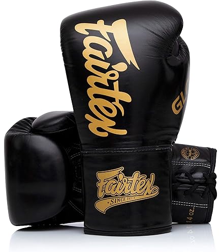 FAIRTEXボクシンググローブ BGV14 黒 8oz 新品 フェアテックス Fairtex ボクシンググローブ BGV14 Painter