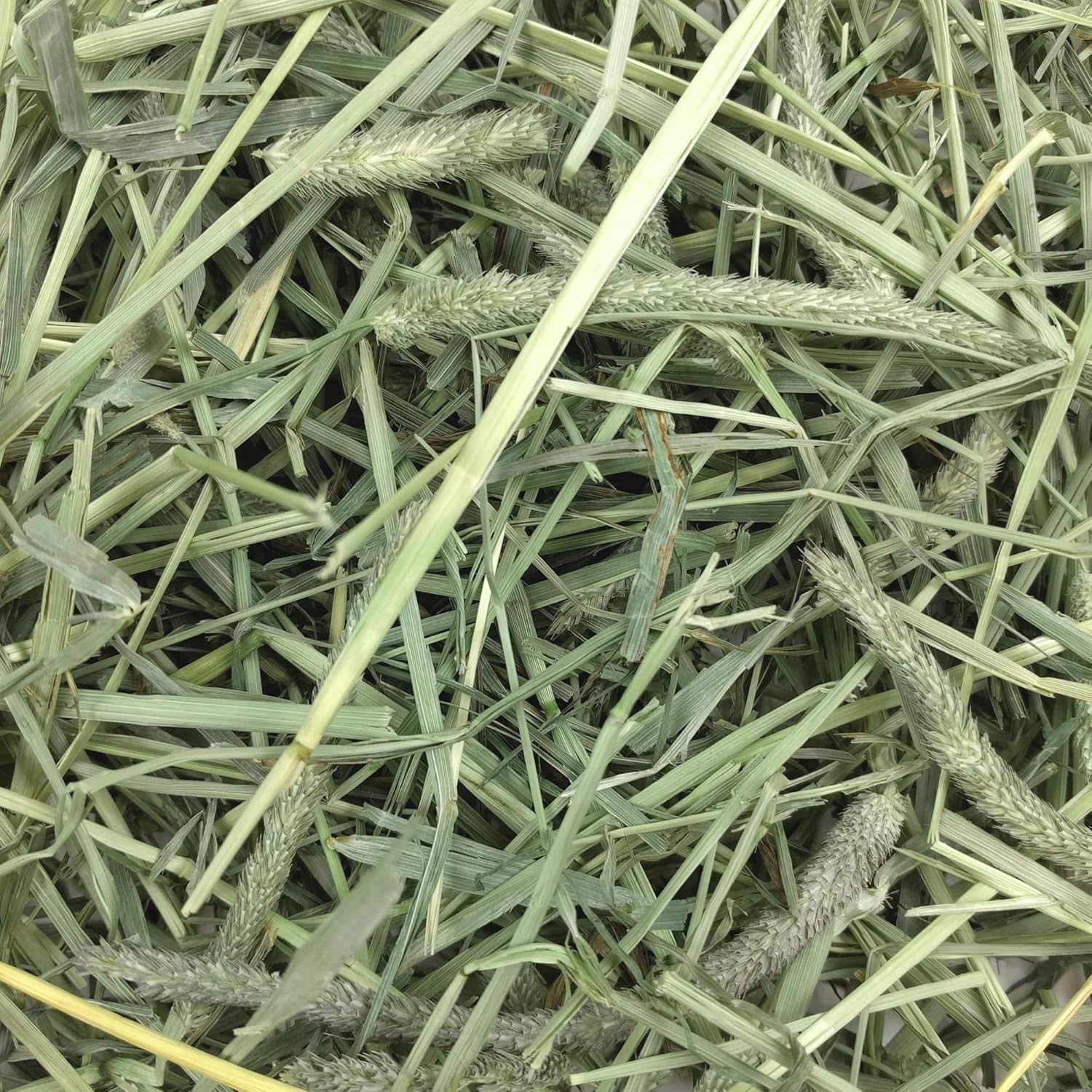 Oxbow Animal Health Western Timothy Hay, 40 Oz: Pet Supplies