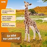 Schleich Wild Life 14751 Giraffe Calf Figure Authentic Detailed Toy view 2