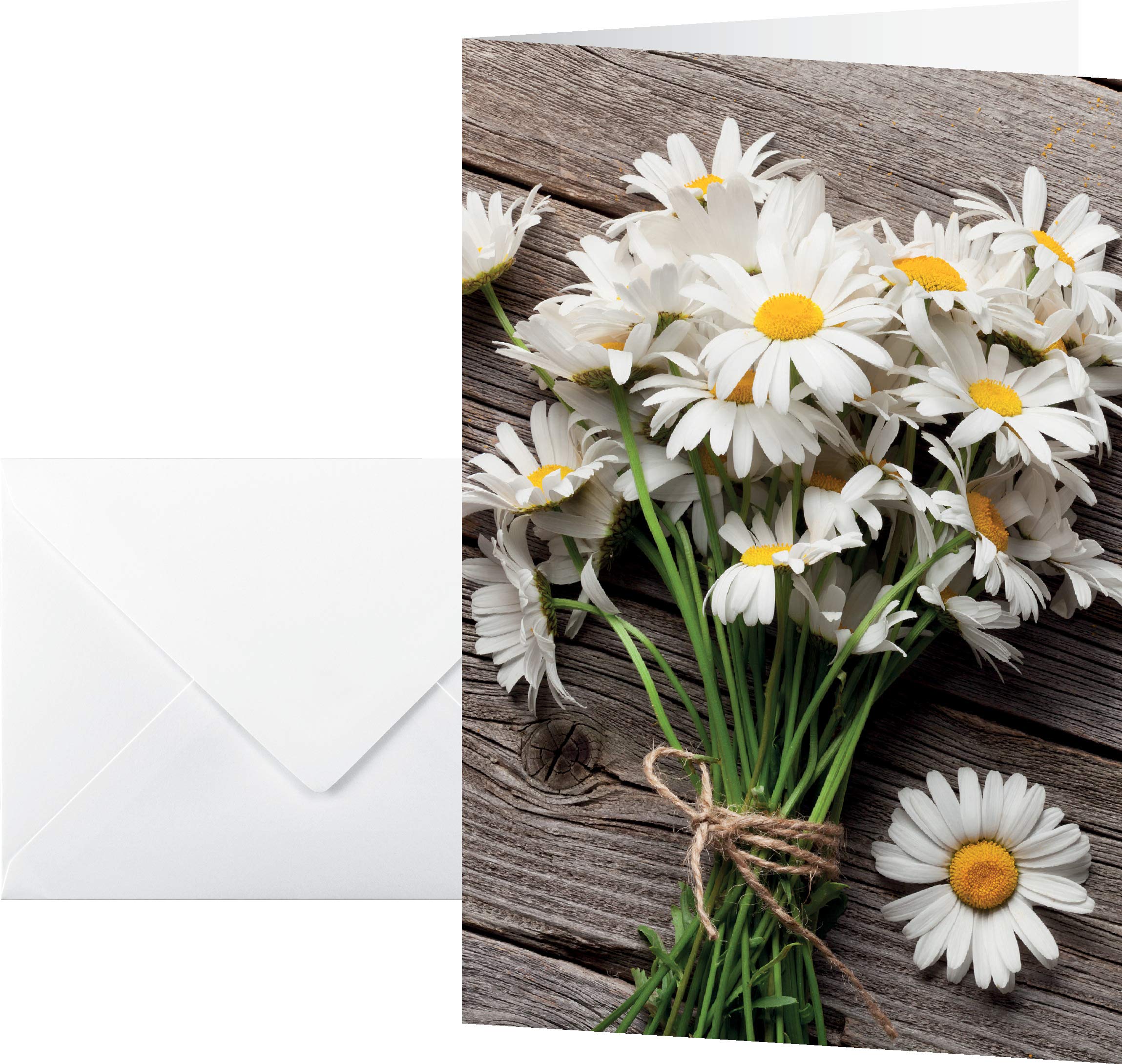 SIGEL DS105 Set of 10 thank you or greeting cards with envelope, daisy design, 2-fold, 11.5 x 17 cm, white