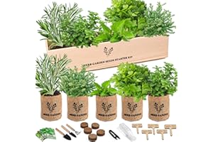 Sproutix Indoor Herb Garden Starter Kit, 5 Seeds Growing into Basil, Parsley, Rosemary, Thyme, Mint, Including A Wooden Box, Soil Discs & Planters with A Gift Box, Ideal Christmas Gifts for Women