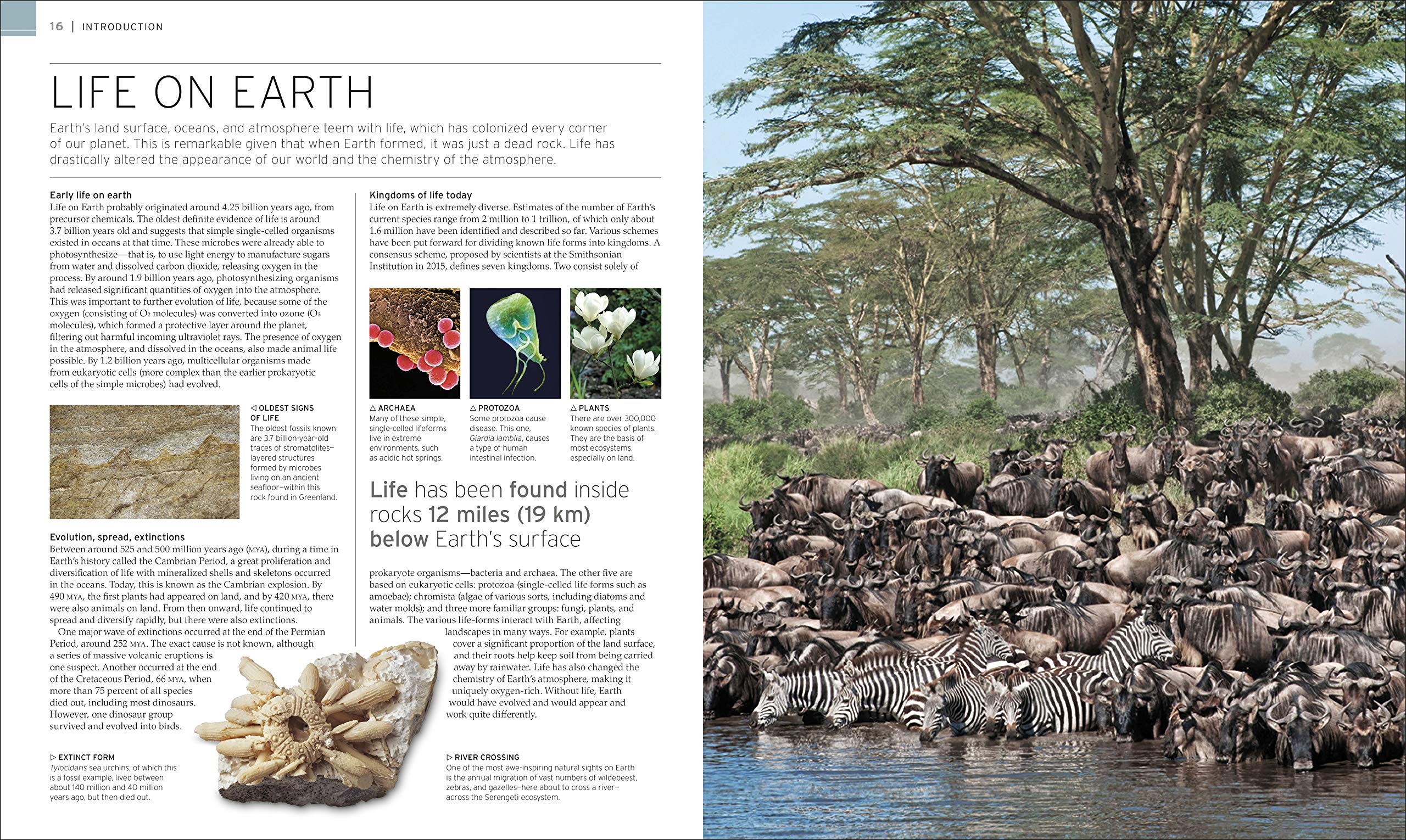 Natural Wonders of the World Natural Wonders of the World Hardcover