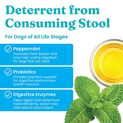 Solid Gold Stop Eating Poop Soft Chews for Dogs with Coprophagia